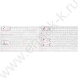 Пропись А5 Каллиграфическая.Пишем строчные буквы NEW | Фото 2