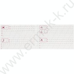 Пропись А5 Каллиграфическая.Пишем строчные буквы NEW | Фото 3