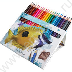 Карандаши акварельные 24цв DreamWorld + кисть европодвес NEW | Фото 3