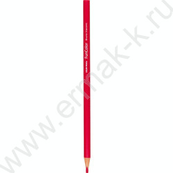 Карандаши пластиковые 24цв Funcolor Корги NEW | Фото 4