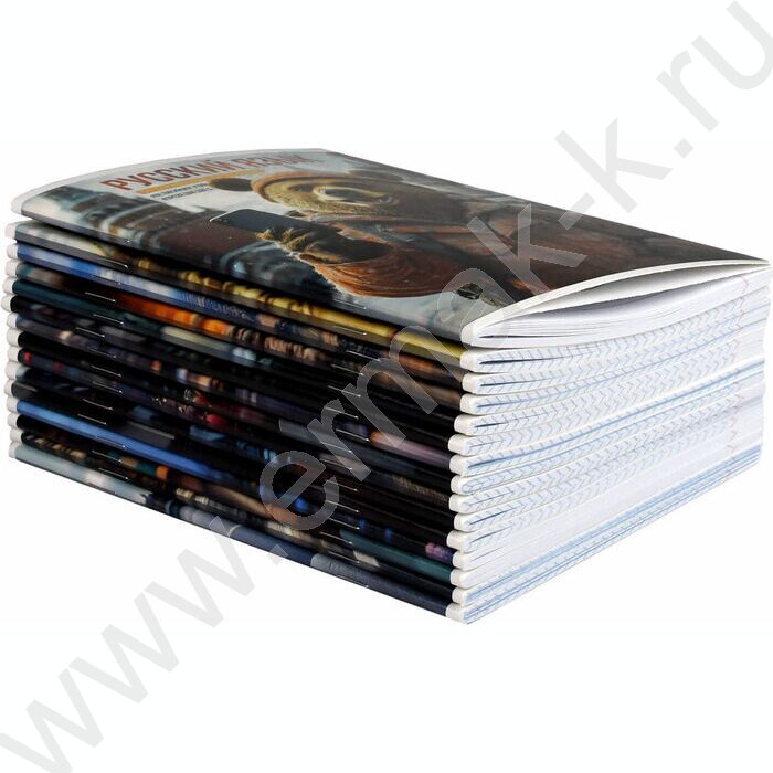 Тетрадь предметная 48л Набор 15шт "Селфи" /выборочный ТВИН-лак/ NEW | Фото 3