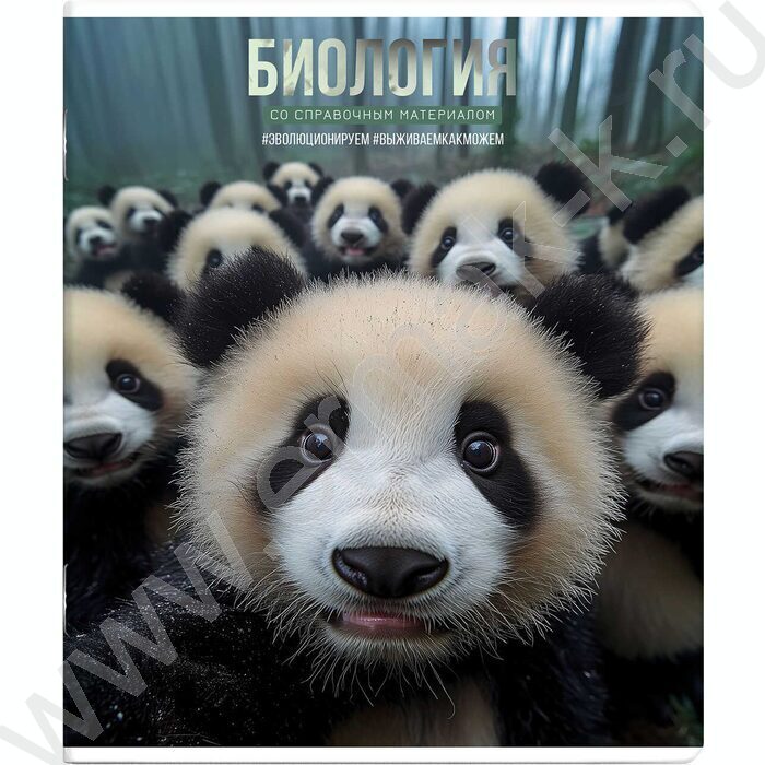 Тетрадь предметная 48л Набор 15шт "Селфи" /выборочный ТВИН-лак/ NEW | Фото 5