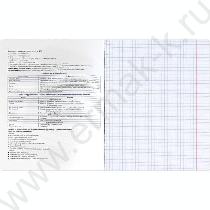 Тетрадь предметная 48л Набор 15шт "Селфи" /выборочный ТВИН-лак/ NEW | Фото 9