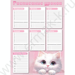 Расписание уроков А3 Белый кот  235г/м2 NEW | Фото 1