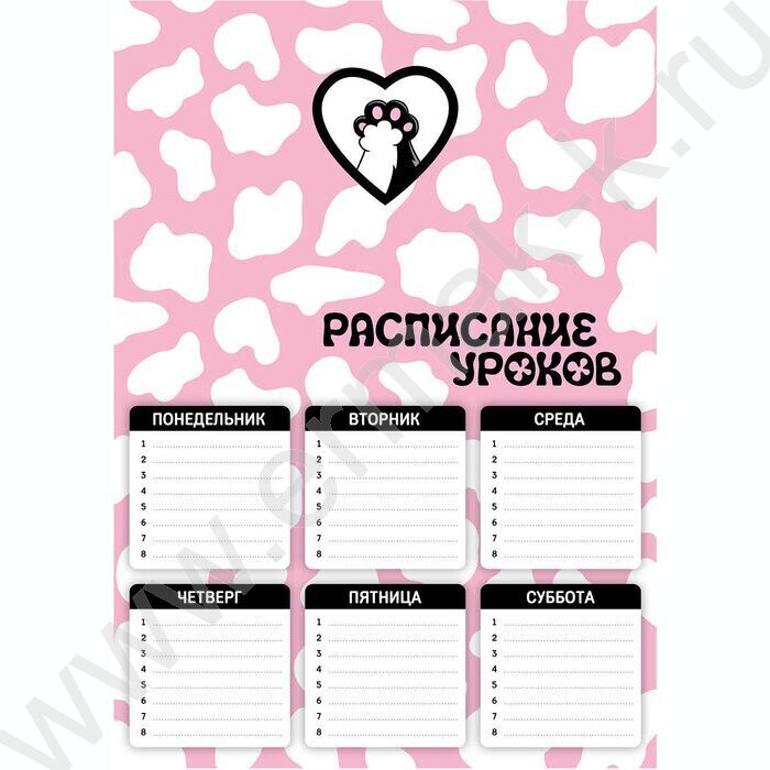 Расписание уроков А4 Котолапы  235г/м2 NEW | Фото 1