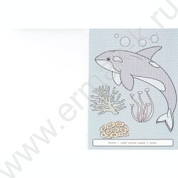 Раскраска Большая водная. Морские обитатели NEW | Фото 2