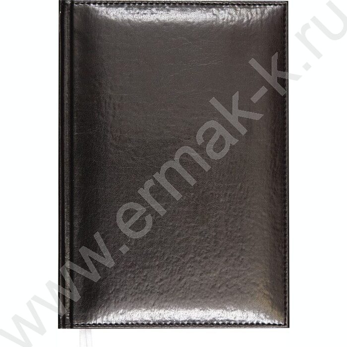 Ежедневник 2027г A5 168л "Visa" черный /тв.обл. иск.кожа  с поролоном /2 ляссе NEW | Фото 1