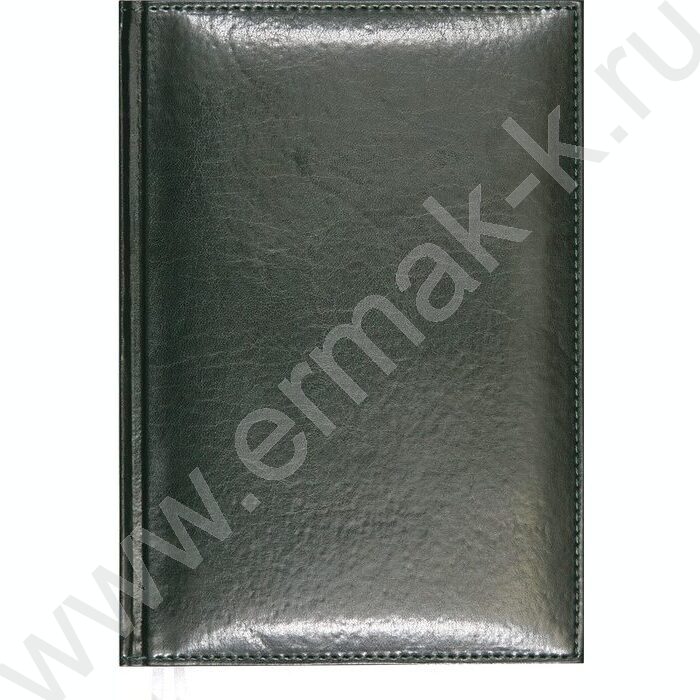 Ежедневник 2027г A5 168л "Visa" темно-зеленый /тв.обл. иск.кожа  с поролоном /2 ляссе NEW | Фото 1
