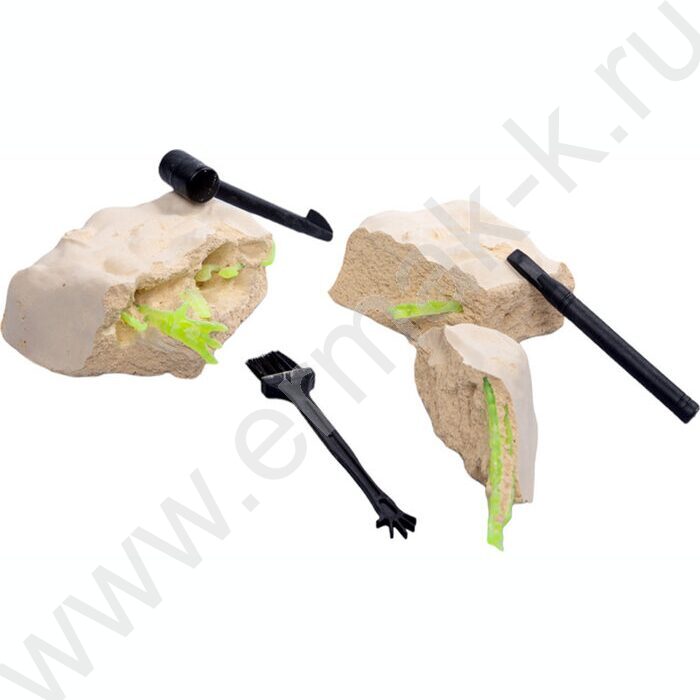 Набор д/творчества Раскопки "Найди окаменелости Тираннозавра" (11 эл) светятся в темноте NEW | Фото 3