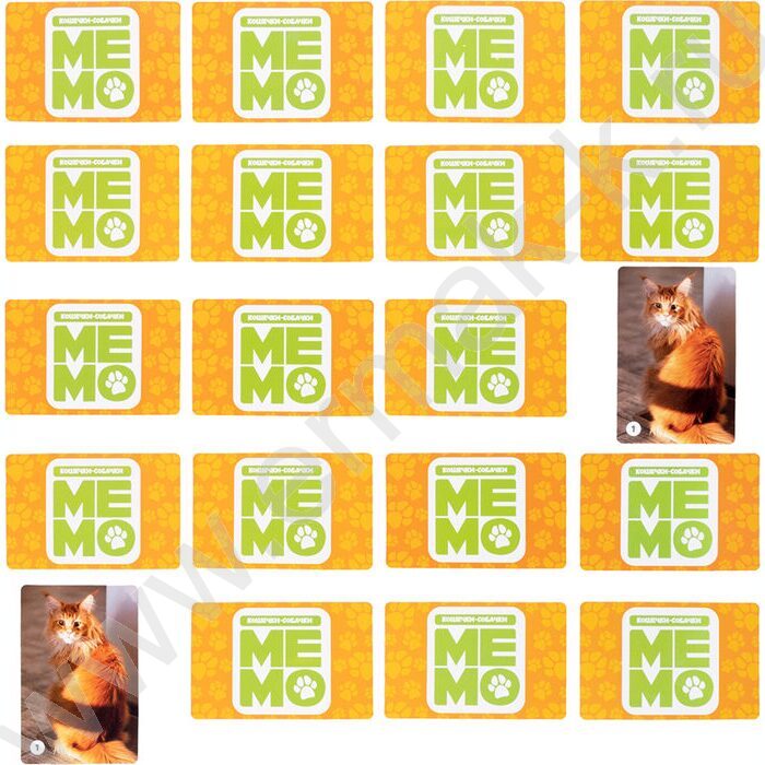 Мемо Кошечки-собачки 50 карточек NEW | Фото 6