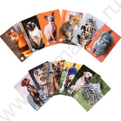 Мемо Кошечки-собачки 50 карточек NEW | Фото 8