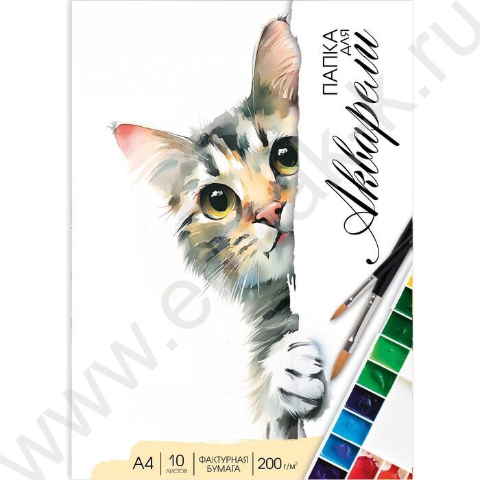 Папка д/акварели А4 10л 200/м2 "Акварельные котики" NEW | Фото 1