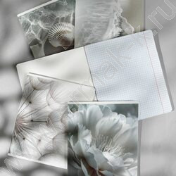 Тетрадь  48л клетка "Безмятежность" /мат.лам/ ассорти NEW | Фото 8