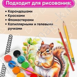 Альбом д/рисования-спираль 40л "Девочки и зверята-2" ассорти NEW | Фото 5