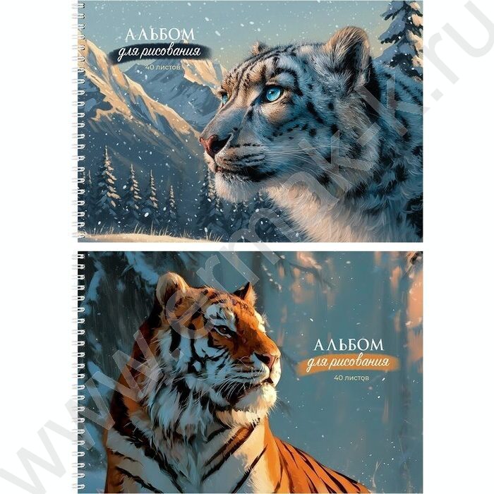 Альбом д/рисования-спираль 40л "Зимние звери" ассорти NEW | Фото 1