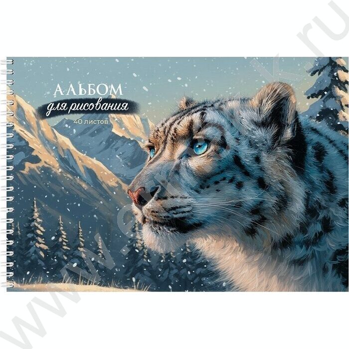 Альбом д/рисования-спираль 40л "Зимние звери" ассорти NEW | Фото 3