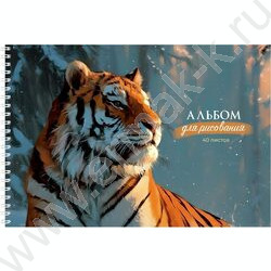 Альбом д/рисования-спираль 40л "Зимние звери" ассорти NEW | Фото 5