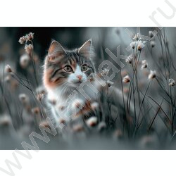 Альбом д/рисования-склейка 48л "Взгляд котенка" /мат.лам.,выб.лак./ ассорти NEW | Фото 4