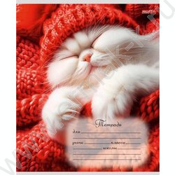 Тетрадь  24л клетка "Спящие котики-1" 5видов NEW | Фото 4