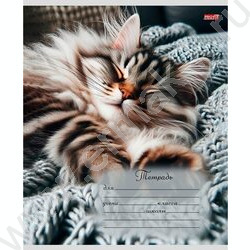 Тетрадь  24л клетка "Спящие котики-1" 5видов NEW | Фото 5