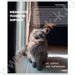 Тетрадь  24л клетка "Забавные коты-6" 5видов NEW | Фото 5