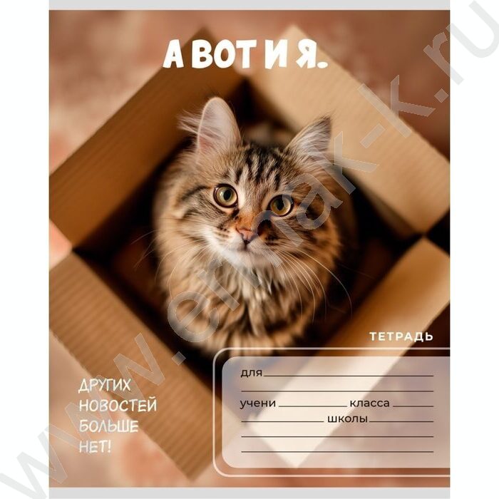 Тетрадь  24л клетка "Забавные коты-6" 5видов NEW | Фото 6