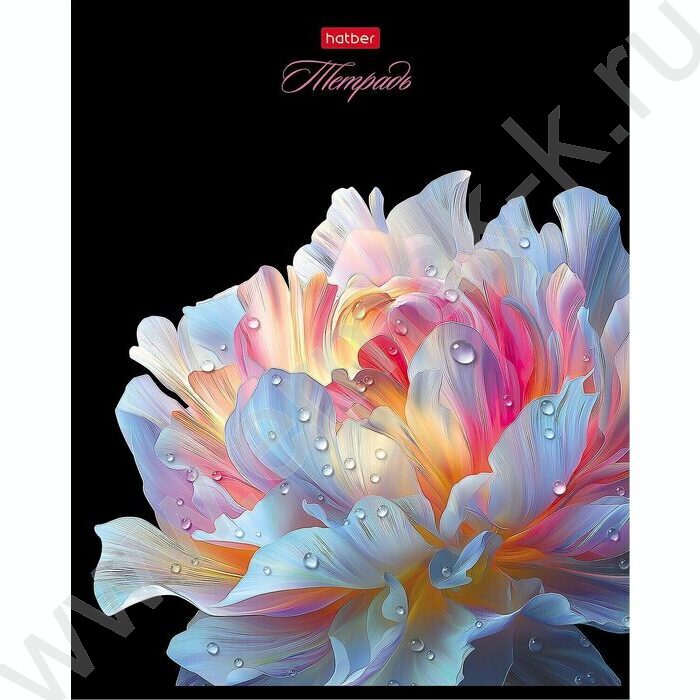 Тетрадь  48л клетка "Хрупкие лепестки" /3D лак /ламинация Soft-touch/5видов NEW | Фото 4