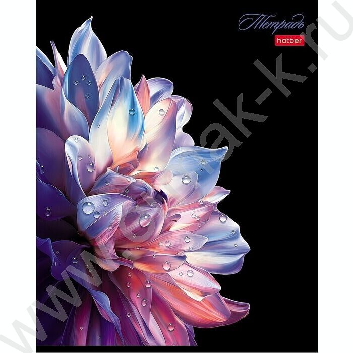 Тетрадь  48л клетка "Хрупкие лепестки" /3D лак /ламинация Soft-touch/5видов NEW | Фото 5