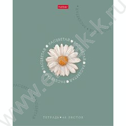 Тетрадь  48л клетка "Нежное очарование" /ламинац SOFT-TOUCH/тиснение/ 5видов NEW | Фото 4