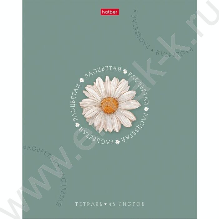 Тетрадь  48л клетка "Нежное очарование" /ламинац SOFT-TOUCH/тиснение/ 5видов NEW | Фото 4