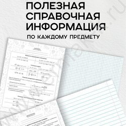 Тетрадь предметная 48л Набор 12шт "Calligraphy" /мат.лам, выб.лак/ | Фото 7