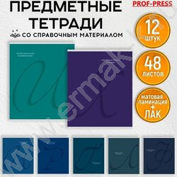 Тетрадь предметная 48л Набор 12шт "Calligraphy" /мат.лам, выб.лак/ | Фото 9