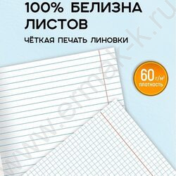 Тетрадь предметная 48л Набор 12шт "Light fluid" /мат.лам,тисн.фольгой/ | Фото 4