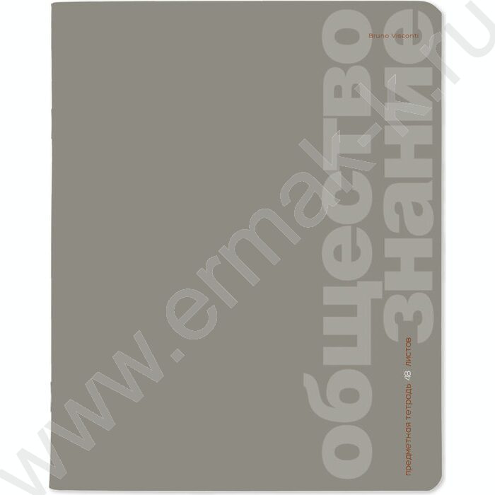 Тетрадь предметная 48л "Monocolor" Обществознание /мат.лам.,УФ-лак выборочный, фольга NEW | Фото 1