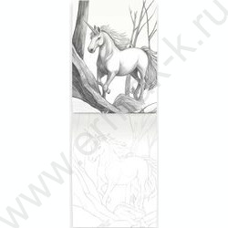 Раскраска 140*200 Мистика.Фентези Миры NEW | Фото 2