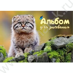 Альбом д/рисования 24л "Дикий кот - Манул" NEW | Фото 1