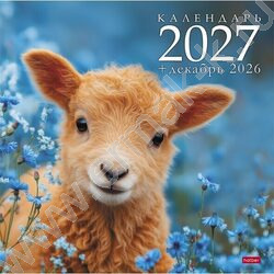 Календарь настенный перекидной 12л 30х30см скрепка 2027г "Символ года_овечки" NEW | Фото 1