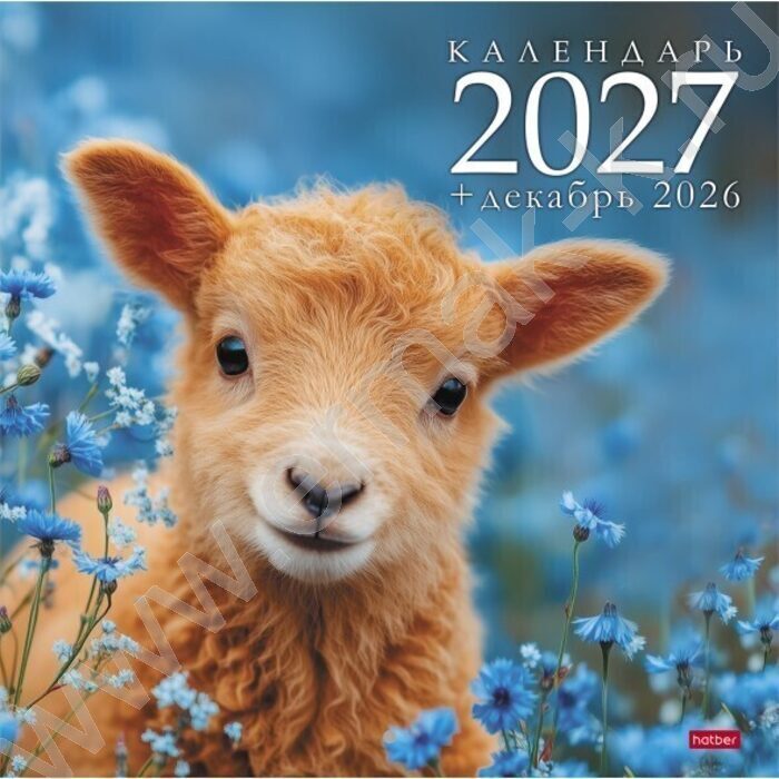 Календарь настенный перекидной 12л 30х30см скрепка 2027г "Символ года_овечки" NEW | Фото 1