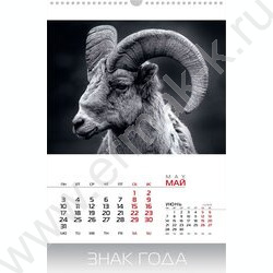 Календарь настенный перекидной 30х45см спираль/ригель 2027г "Знак Года" NEW | Фото 2