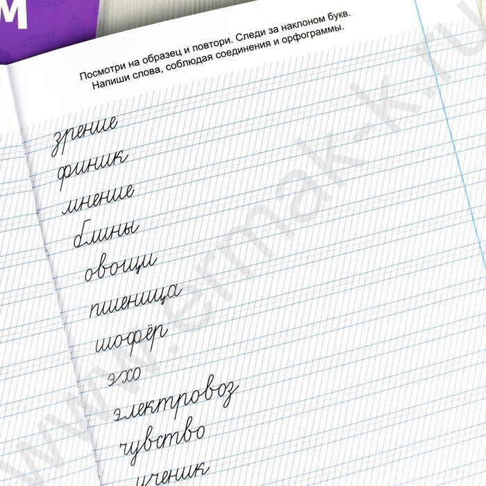 Пропись 165*210 С пояснениями.Исправляем почерк.Слоги и слова 1-4класс NEW | Фото 5
