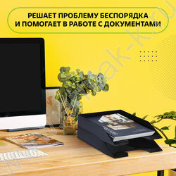 Лоток вертикальный разборный /серый,250мм/ 2отд. | Фото 8