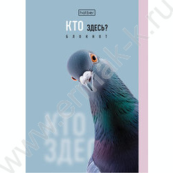 Блокнот  32л А6 "Кто здесь?" /глянц. ламин./ ассорти NEW | Фото 2