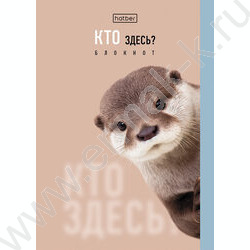 Блокнот  32л А6 "Кто здесь?" /глянц. ламин./ ассорти NEW | Фото 3
