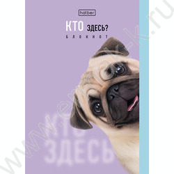 Блокнот  32л А6 "Кто здесь?" /глянц. ламин./ ассорти NEW | Фото 8