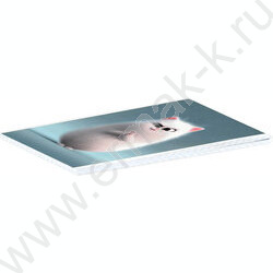 Блокнот  40л А6 "Хитрый котик" /клетка,глянц.лам.,мягкий переплёт (1 скоба) NEW | Фото 2