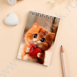 Блокнот  40л А7 спираль "Котик с сердечком" /УФ-лак сплошной/клетка NEW | Фото 7