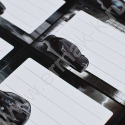 Наклейки д/тетрадей и учебников Сити-драйв/1л в наборе,кол-во наклеек на листе 10шт*7*4,5см NEW | Фото 5