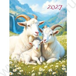 Календарь на магните отрывной 2027г "Символ года" NEW | Фото 1