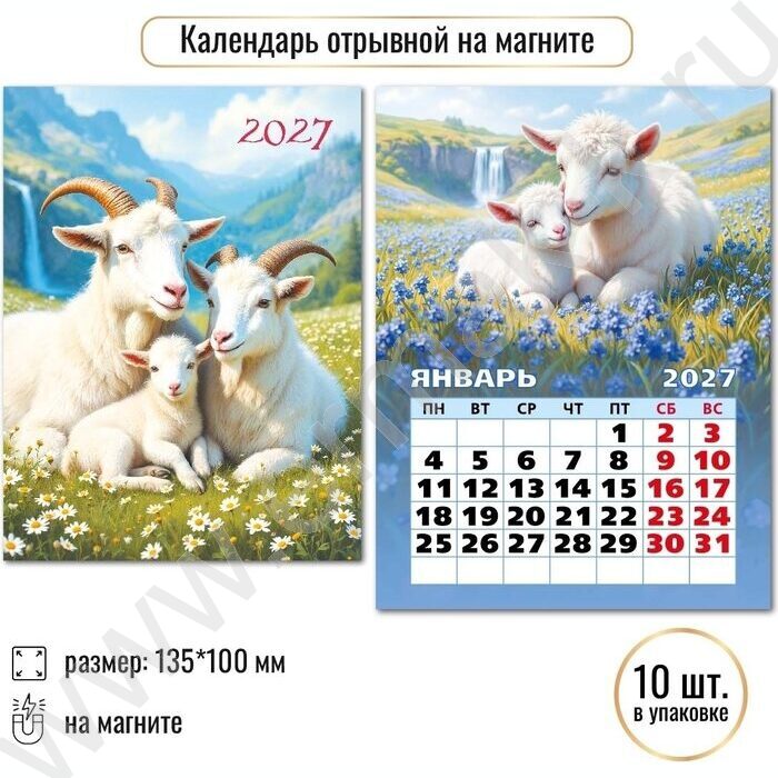 Календарь на магните отрывной 2027г "Символ года" NEW | Фото 3