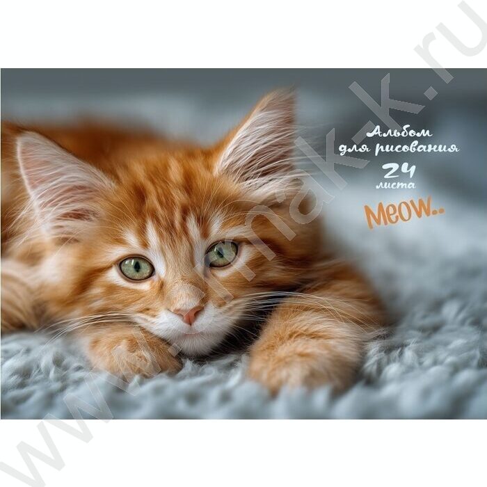 Альбом д/рисования-склейка 24л "Котик-4" NEW | Фото 1